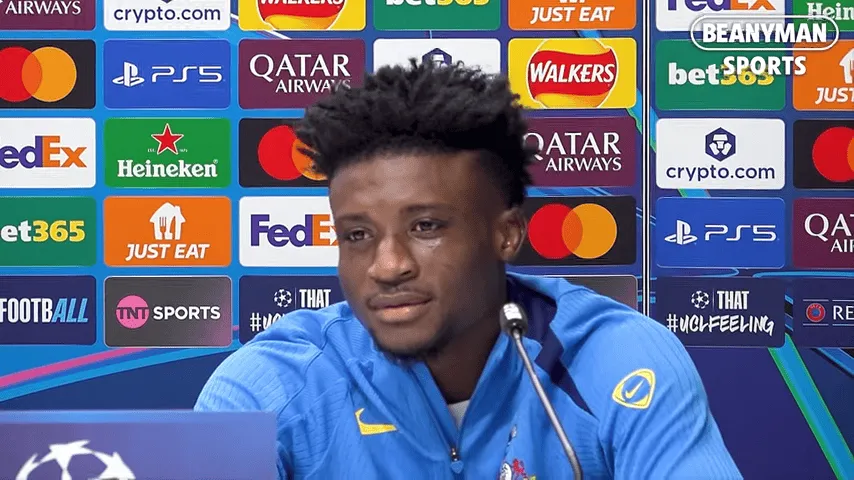 华体会登陆 - 专业体育数据分析平台界面